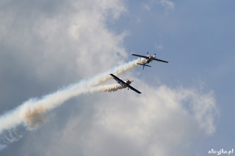 flying bulls